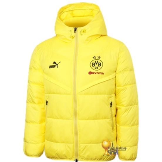 Chaqueta De Algodón Borussia Dortmund 2023 2024 Giallo