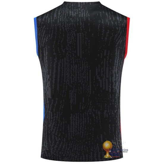 Formazione Senza Maniche Paris Saint Germain 2023 2024 Grigio Rosso Blu