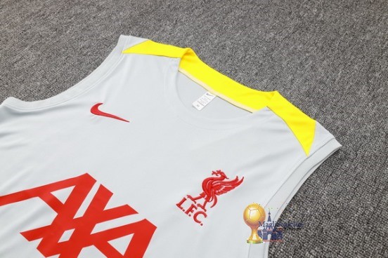 Formazione Senza Maniche Set Completo Liverpool 2024 2025 Grigio Giallo Nero