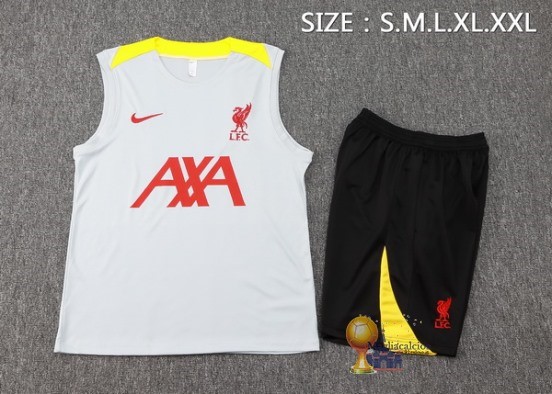 Formazione Senza Maniche Set Completo Liverpool 2024 2025 Grigio Giallo Nero