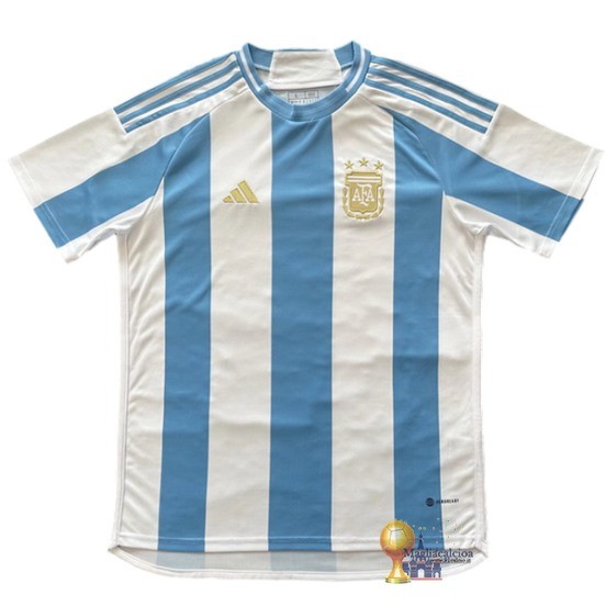 Home concetto Maglia Argentina 2024 Blu Bianco