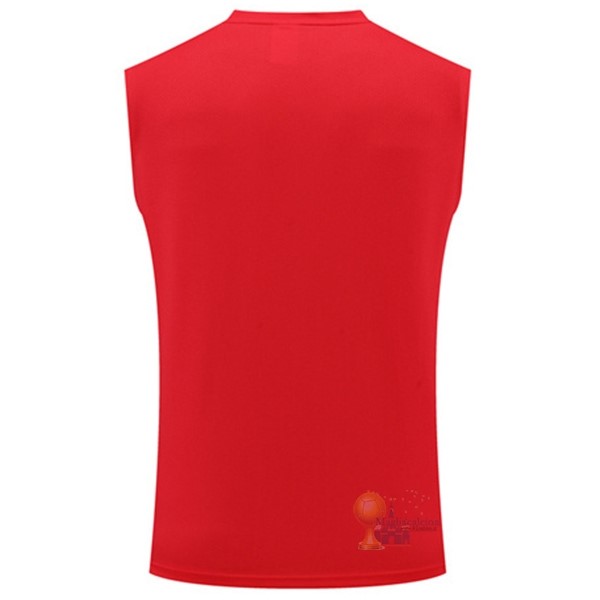 Calcio Maglie Formazione Senza Maniche Bayern München 2022 2023 Rosso Bianco