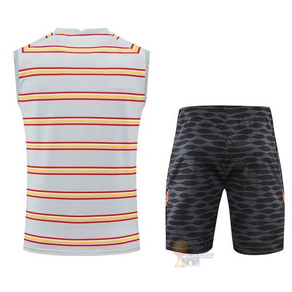 Calcio Maglie Formazione Sin Mangas Set Completo Liverpool 2022 2023 Grigio Luce Nero